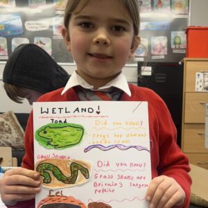 image2 1 scaled e1738145466839