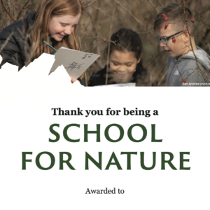 Screenshot 2024 05 23 at 12.25.10 e1716459351383